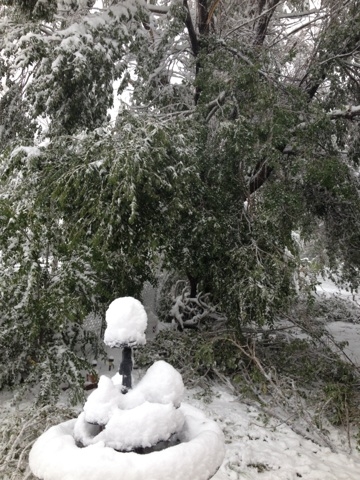 Winter Storm Atlas